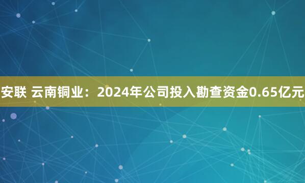 安联 云南铜业：2024年公司投入勘查资金0.65亿元