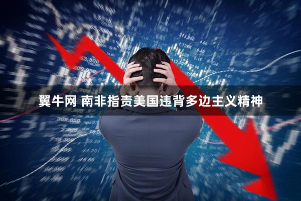 翼牛网 南非指责美国违背多边主义精神