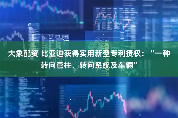 大象配资 比亚迪获得实用新型专利授权：“一种转向管柱、转向系统及车辆”