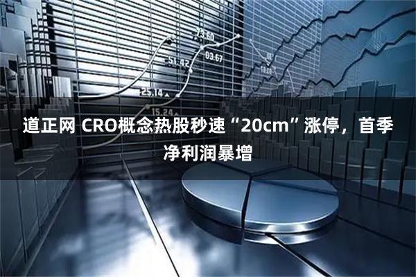 道正网 CRO概念热股秒速“20cm”涨停，首季净利润暴增