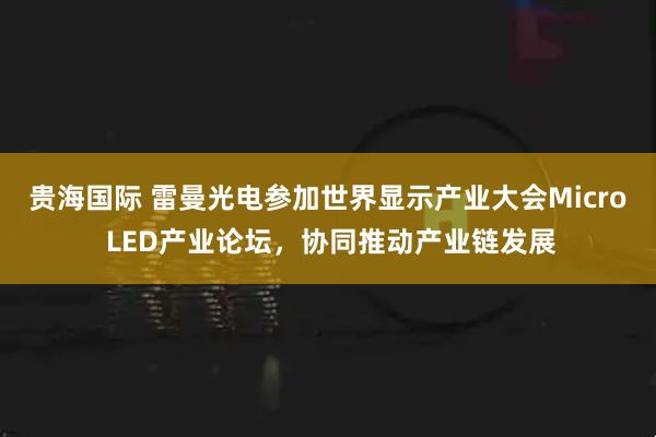 贵海国际 雷曼光电参加世界显示产业大会Micro LED产业论坛，协同推动产业链发展