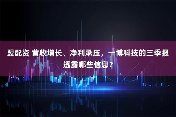 盟配资 营收增长、净利承压，一博科技的三季报透露哪些信息？
